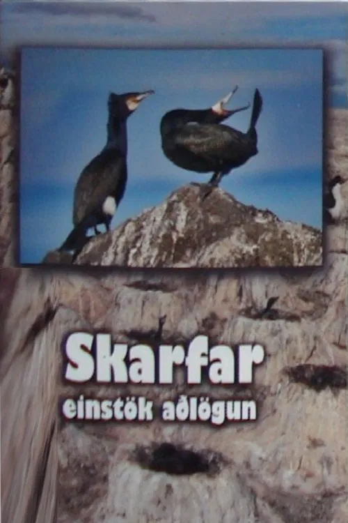 Skarfar movie poster