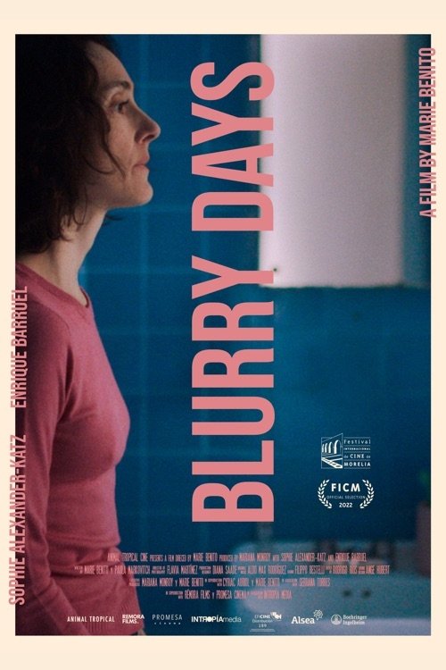 Blurry Days movie poster