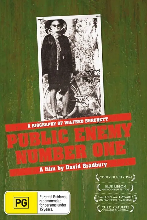 Public Enemy Number One movie poster