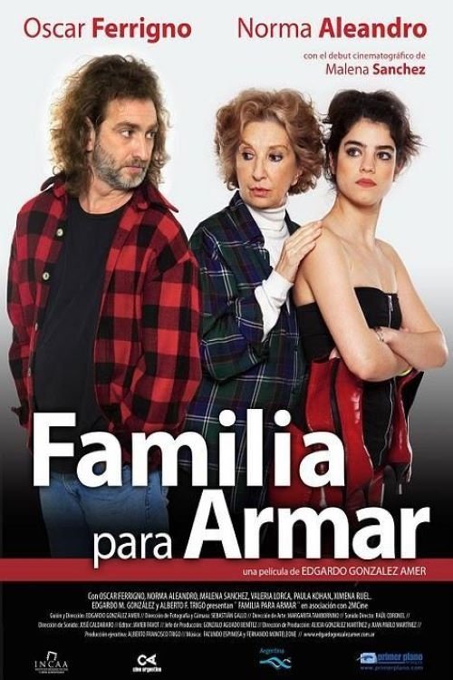 Familia para armar movie poster