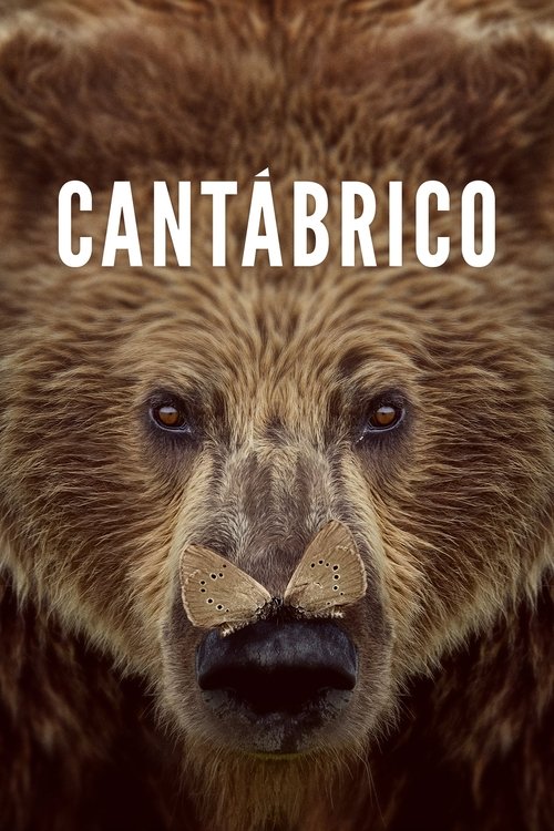 Poster da série Cantabrico