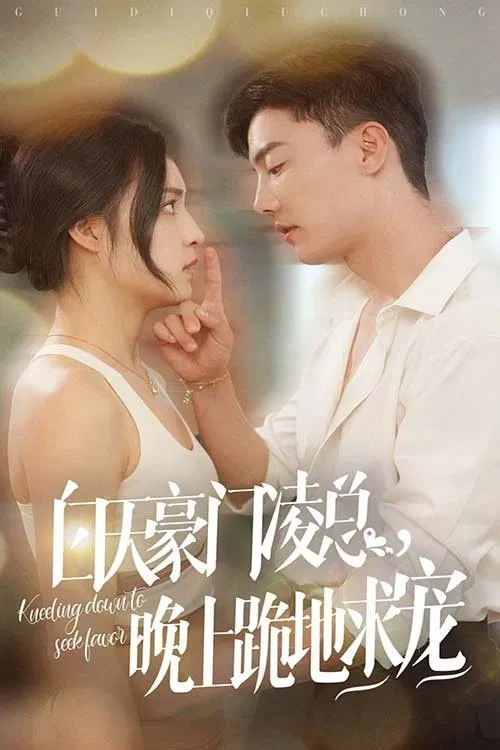 白天豪门凌总，晚上跪地求宠 tv show poster