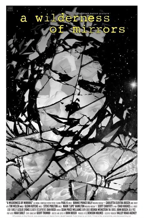 A Wilderness of Mirrors movie poster