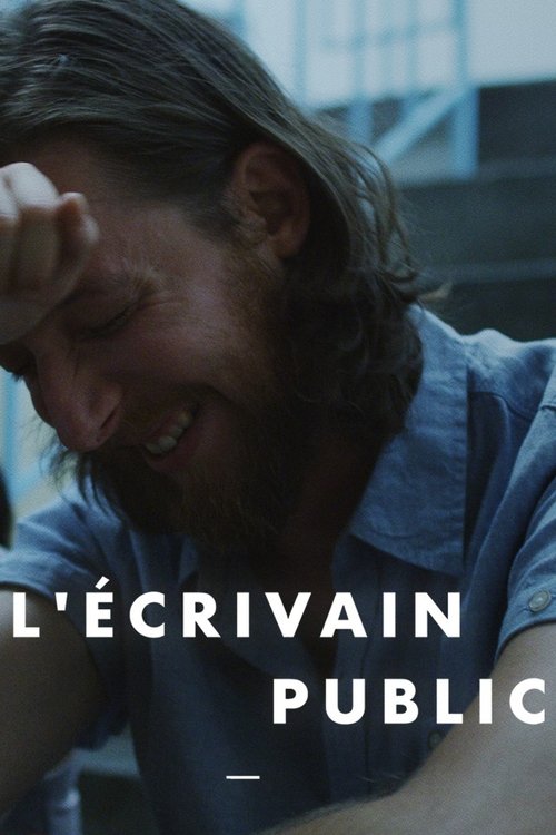 Public Writer tv show poster