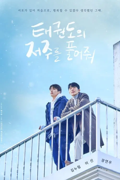 Poster do filme Let Free the Curse of Taekwondo