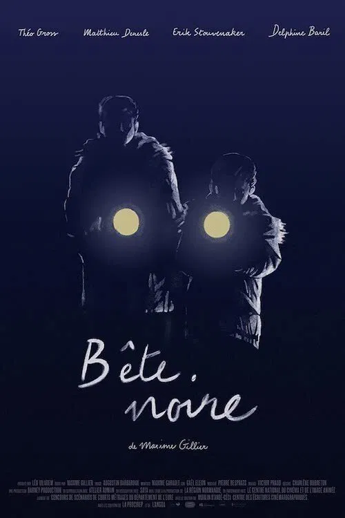 Poster do filme Bête Noire