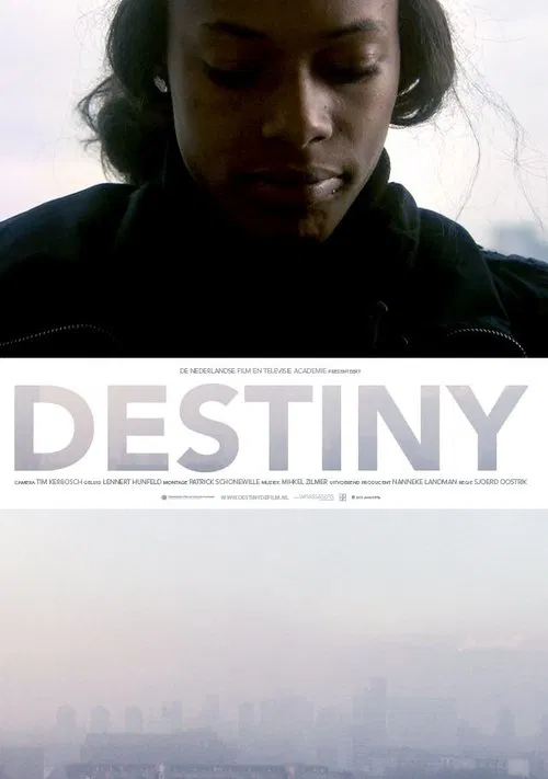Destiny movie poster