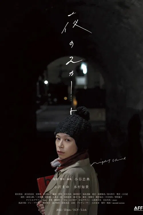 Night Skirt movie poster