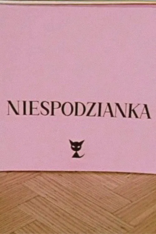 The Surprise movie poster