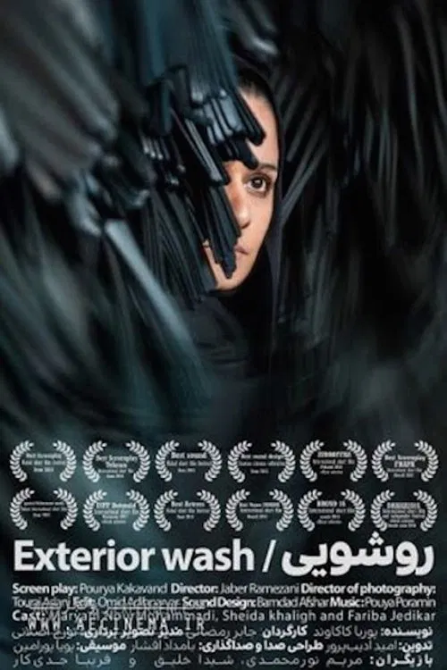 Exterior Wash movie poster