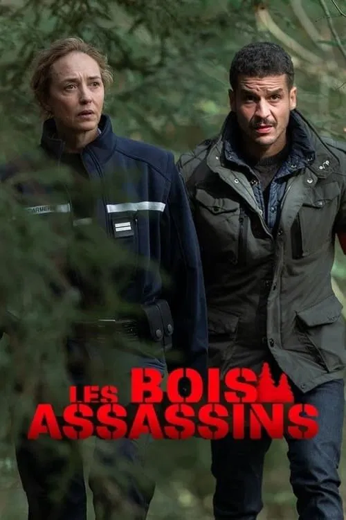Les Bois assassins movie poster