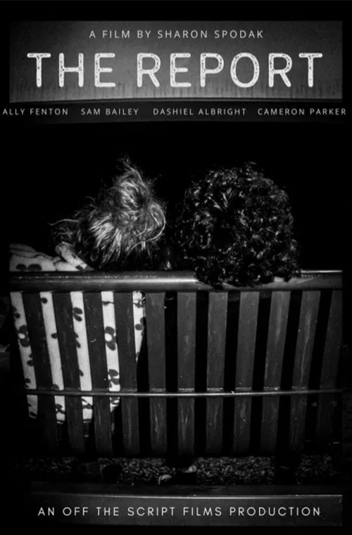 Poster do filme The Report