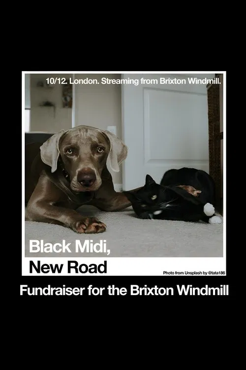 Black Midi, New Road: 'Live at The Windmill, Brixton.' movie poster