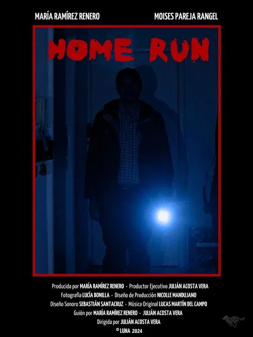 Home run movie poster