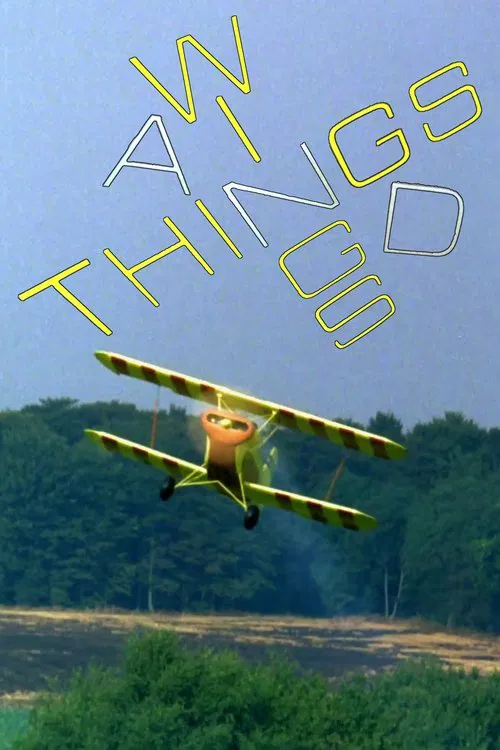 Wings and Things movie poster