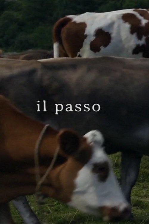 Il passo movie poster