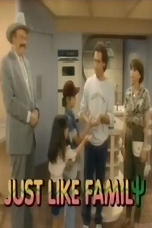 Just Like Family tv show poster