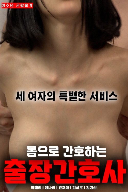A Travelling Nurse Who Cares For the Body movie poster
