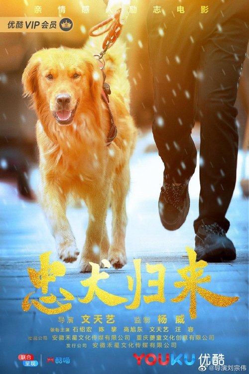 忠犬归来 movie poster