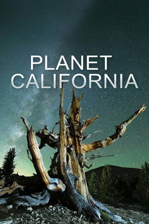 Planet California tv show poster