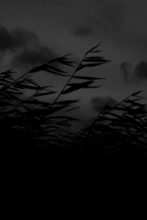 That Which Will Rise from Wind movie poster