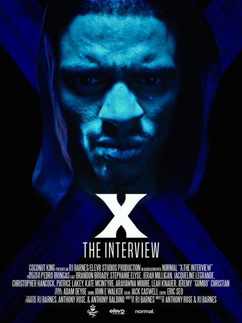 X: The Interview movie poster
