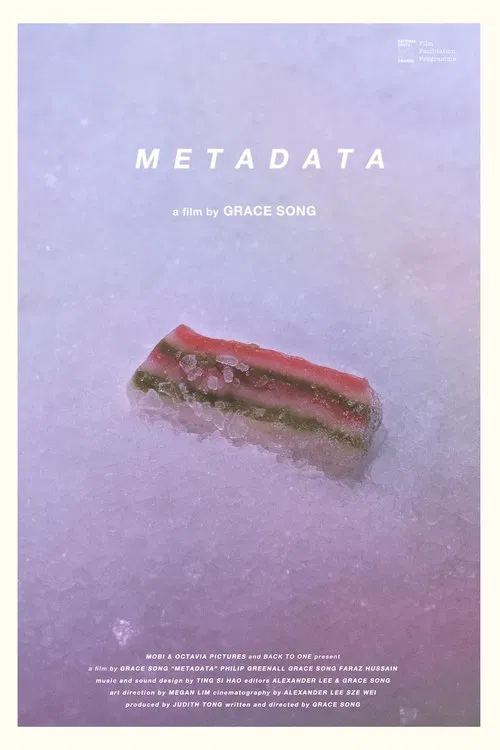 Metadata movie poster