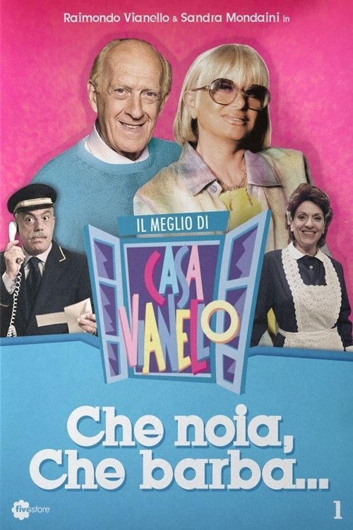 Il meglio di casa Vianello tv show poster