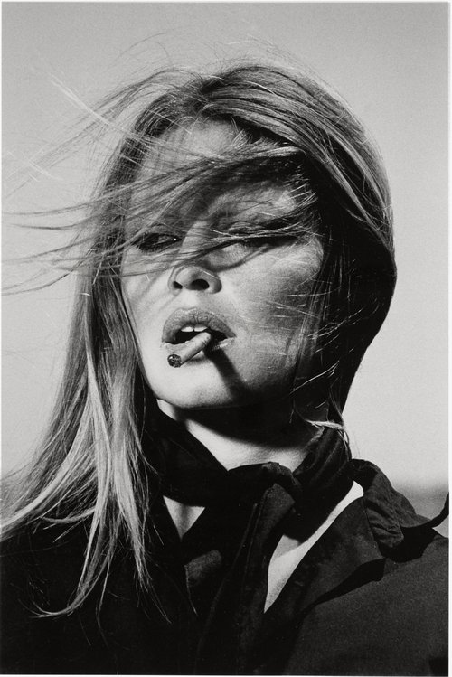 Spécial Bardot movie poster