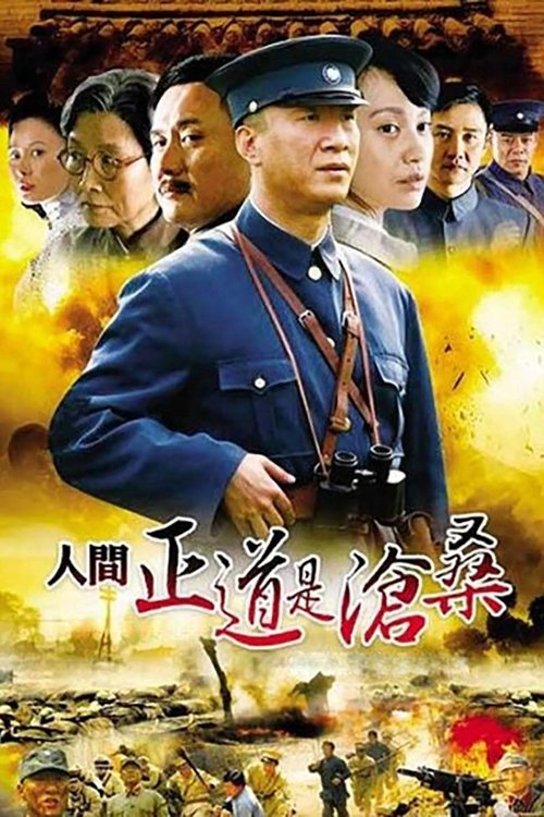 The Road We Have Taken tv show poster