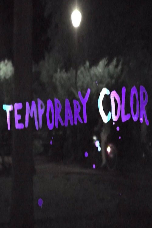 Temporary Color movie poster