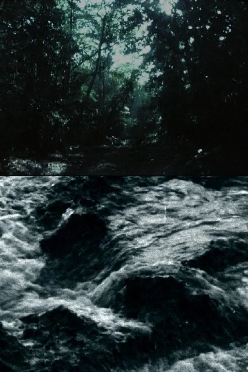 Ceiba movie poster
