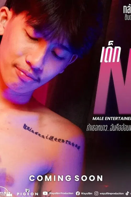 Male Entertainer movie poster