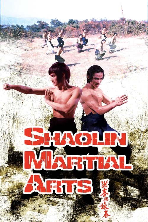 Shaolin Martial Arts movie poster
