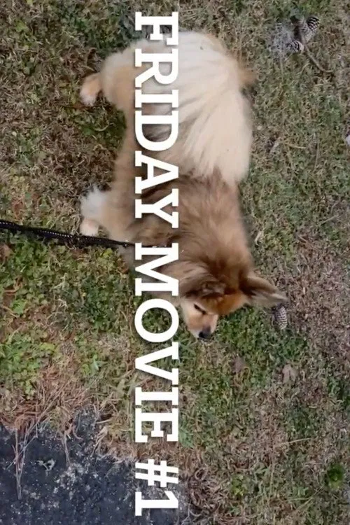 Friday Movie #1 movie poster