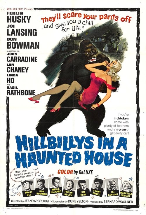 Poster do filme Um Biruta na Casa do Espanto