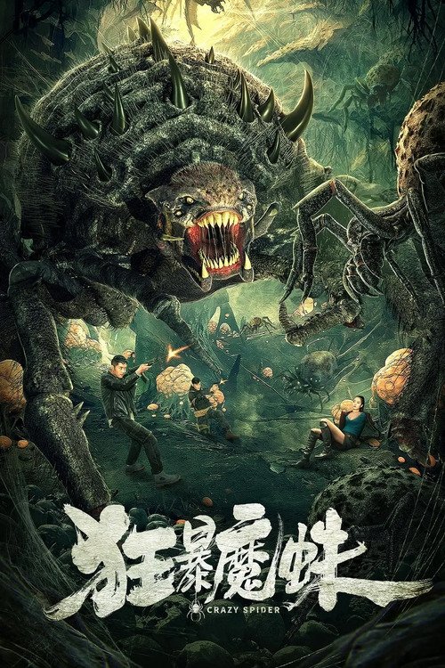 Crazy Spider movie poster