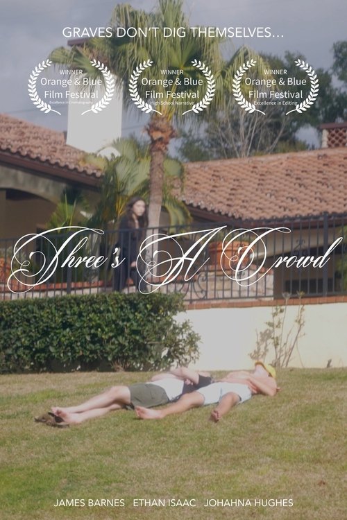 Three’s A Crowd movie poster