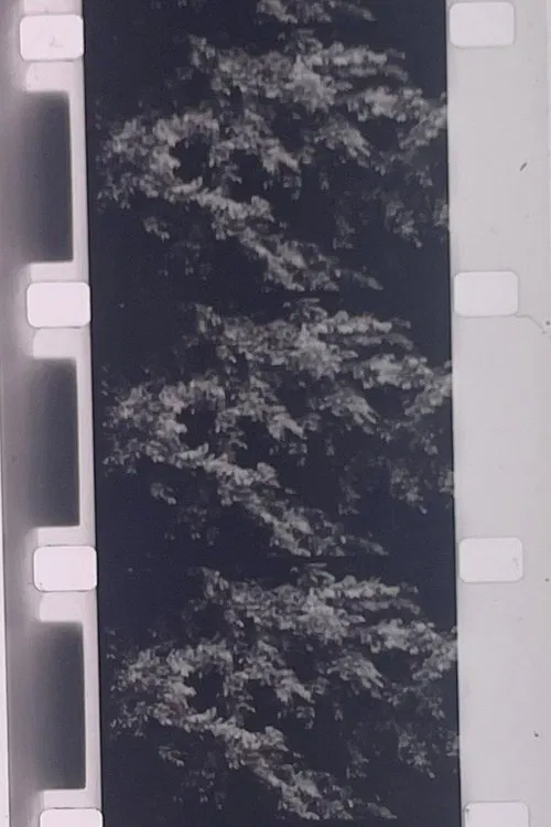 Plotting the Grey Scale: 2 or 3 Quick Traverses movie poster