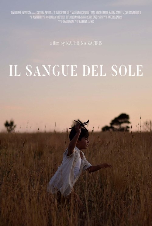 Il Sangue Del Sole movie poster