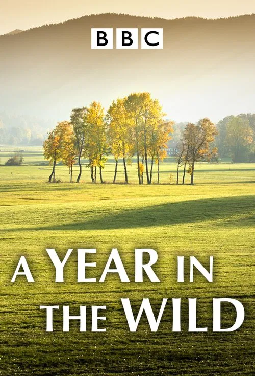 Poster da série A Year in the Wild
