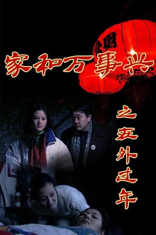 家和万事兴之在外过年 tv show poster