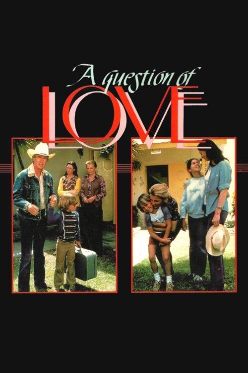 A Question of Love movie poster