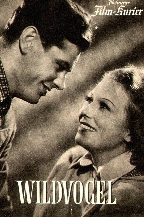 Wildvogel movie poster