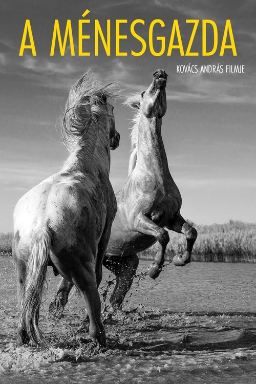 Poster do filme The Stud Farm