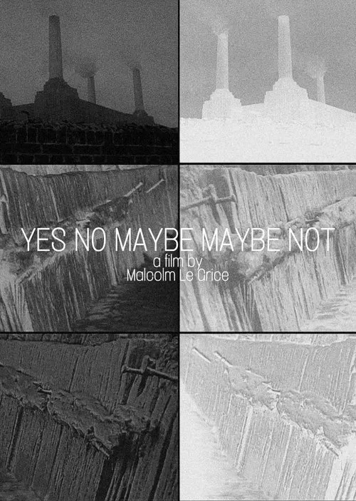 Poster do filme Yes No Maybe Maybe Not