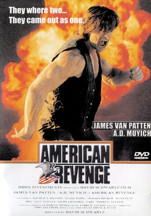American Revenge movie poster