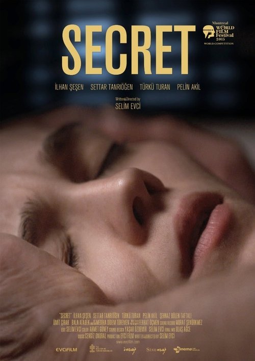 Secret movie poster