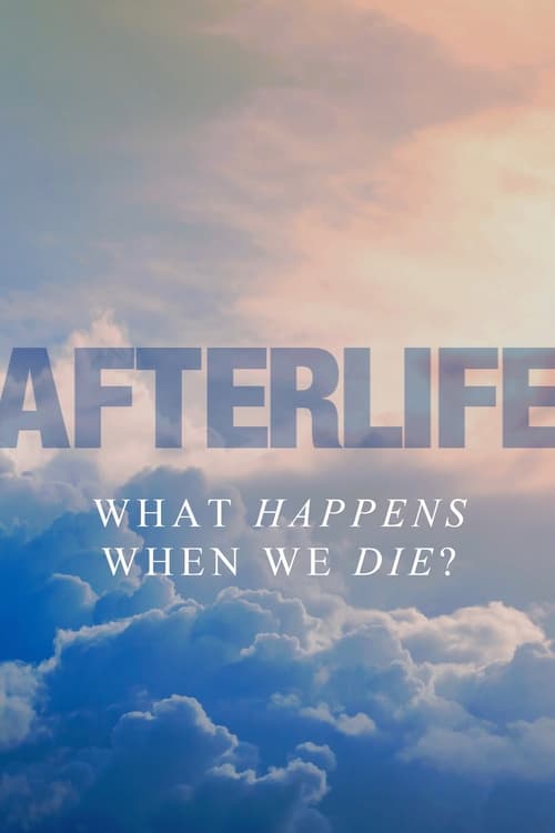 Poster do filme Afterlife