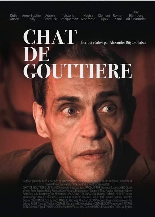 Chat de gouttière movie poster